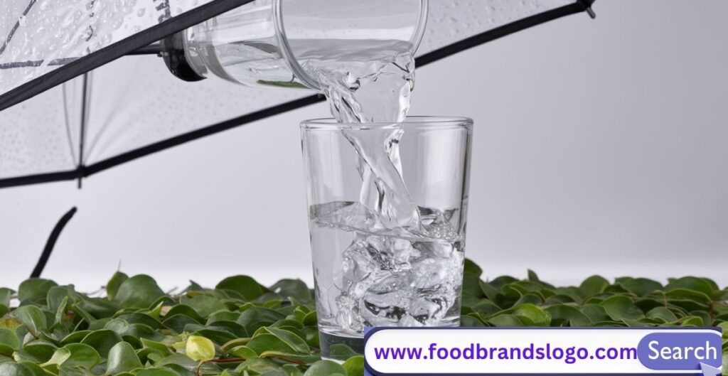 Clear rainwater being collected in a glass container during rainfall, representing the question: is rainwater safe to drink?